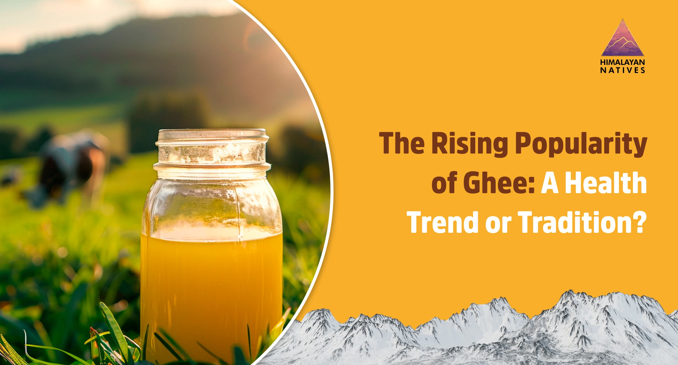 Rising Popularity of Ghee