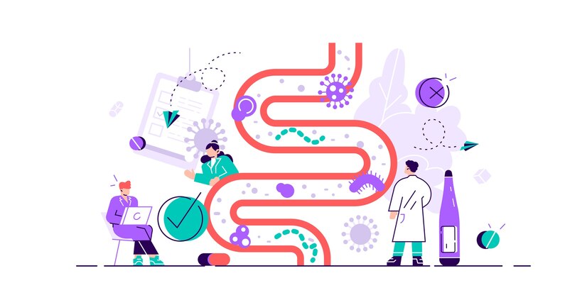 flat tiny gastrointestinal concept