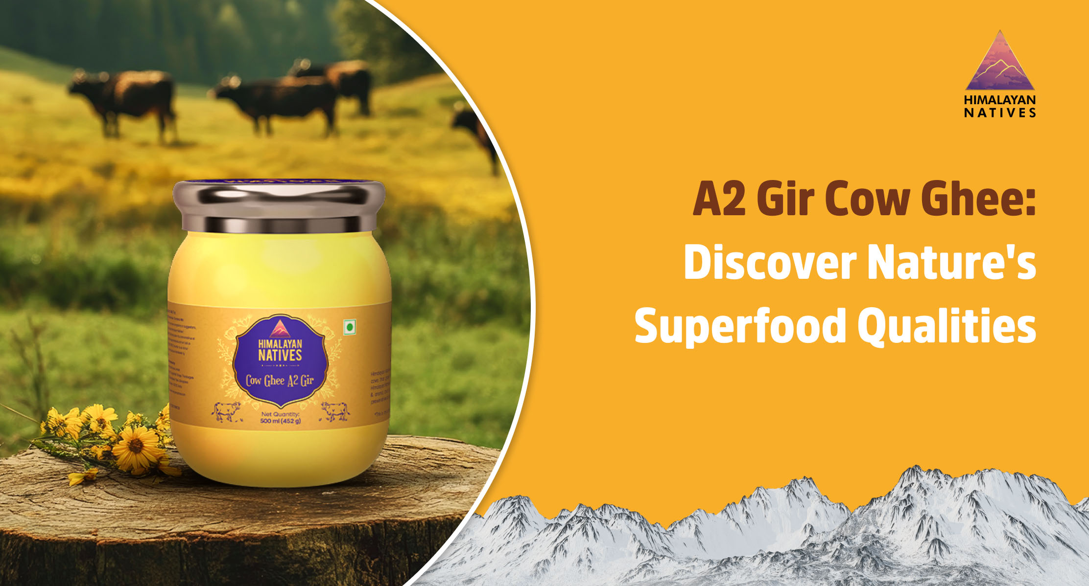 a2 cow ghee natures superfood