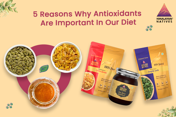 Reasons Why Antioxidants Are Important In Our Diet