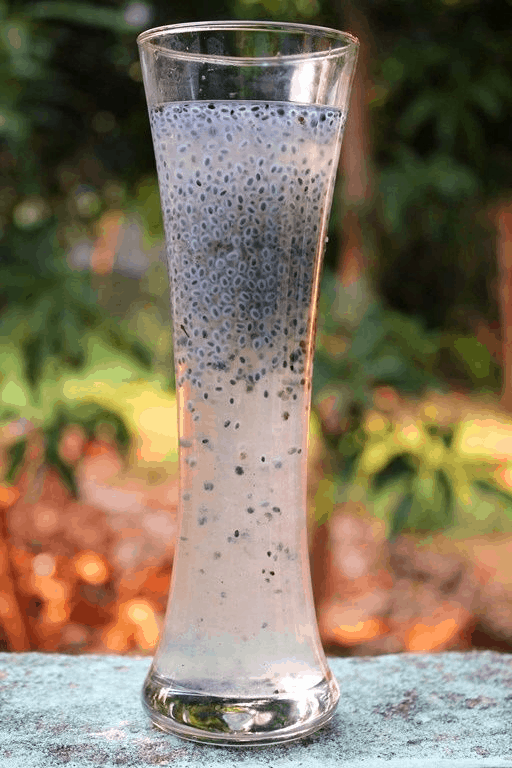 Lemonade with basil seeds